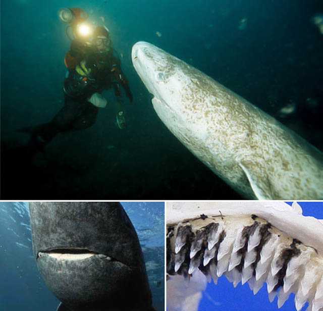 [er6urtjfghe5er.jpg]