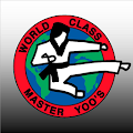 Master Yoo Tae Kwon Do Apk