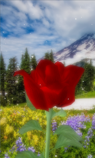 Rose 3D live wallpaper