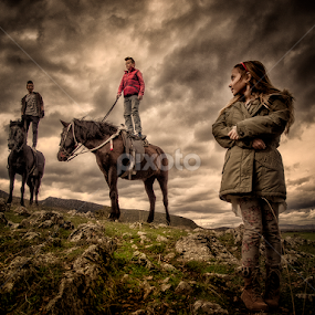 up by Gregory Dallis - Animals Horses