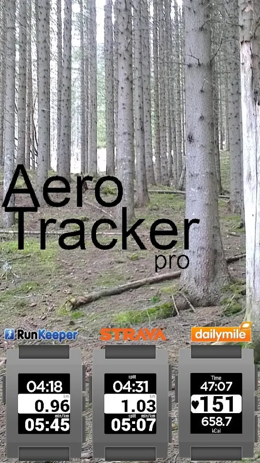 AeroTrackerPro - screenshot