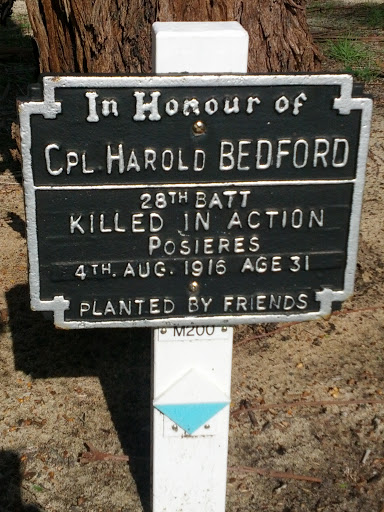 Corporal Harold Bedford