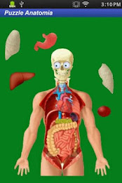 Puzzle Anatomy (learning game) poster 6