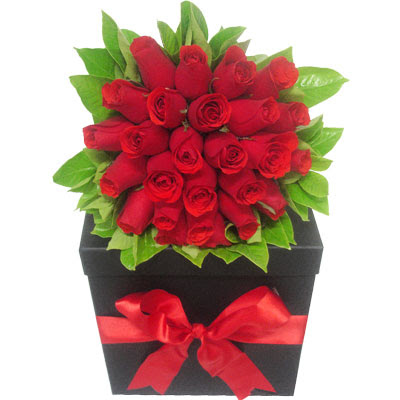 flores+red.jpg