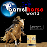 Barrel Horse World Application icon