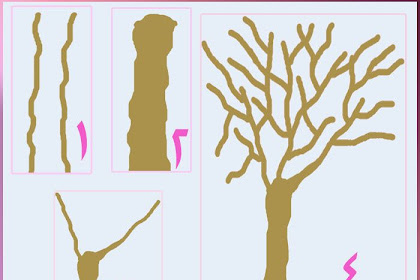 طريقة رسم شجرة الربيع