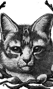 How to mod Vintage Cats Wallpapers lastet apk for pc