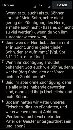 Studien Bibel 1