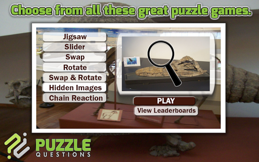 Free Fossil Puzzle Games