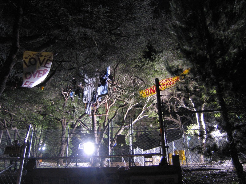 Protest banners in the trees at UC Berkeley