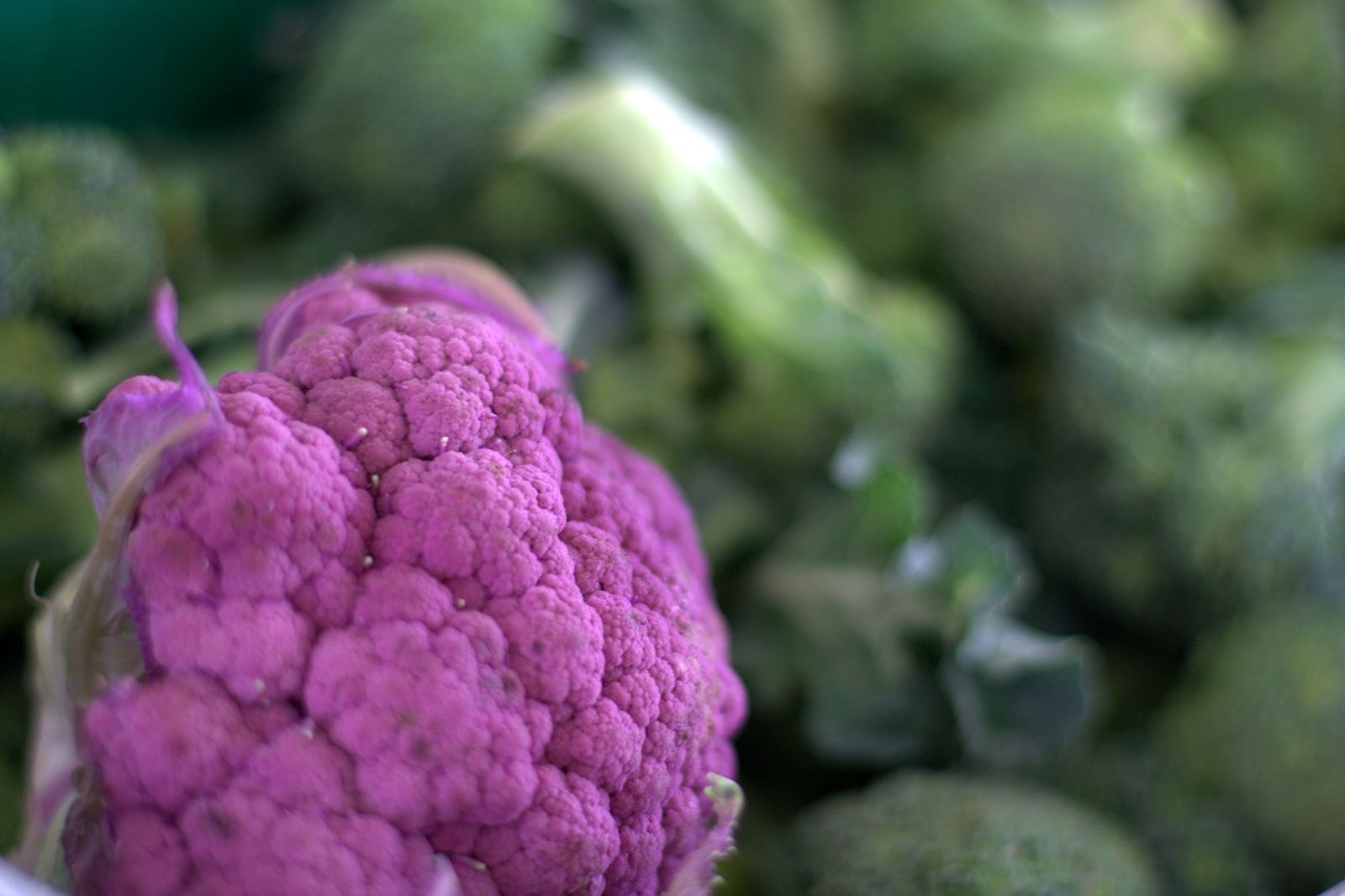 [IMG_5736 Purple broccoli[2].jpg]