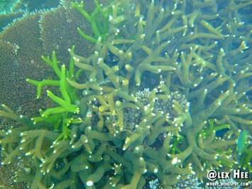 DSCF0659