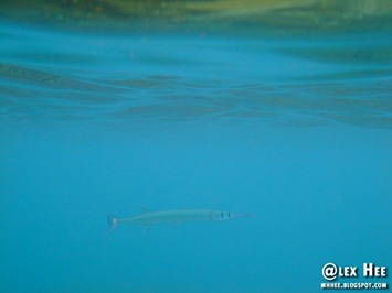 DSCF0685