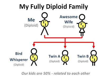 Fully Diploid Family