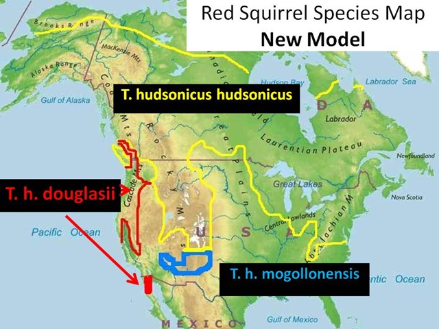 [Red Squirrel Species Map New Model[7].jpg]