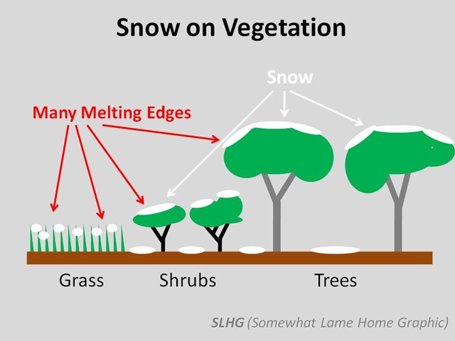 [Snow on Vegetated Ground[5].jpg]