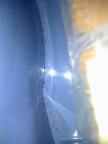 [28-10-08_1516[2].jpg]