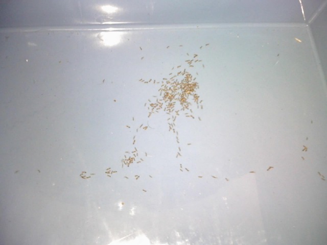 [28-10-08_1524[3].jpg]