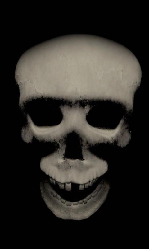 Zombie skull live wallpaper Screen 2