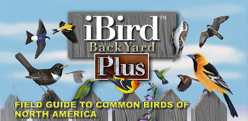 iBird Yard Plus -  apk apps