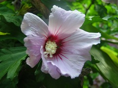 DSCN9783