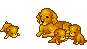 c3.png