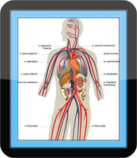 Chronic Disease Guide