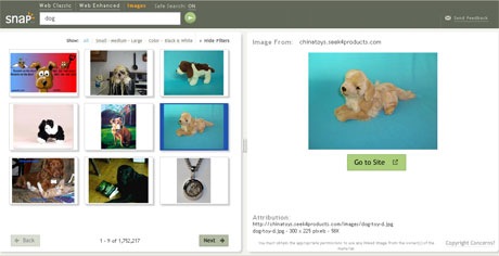 snap.com offre anche un buon servizio di ricerca di immagini