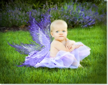 DSC_0359 Fairy wings VIG