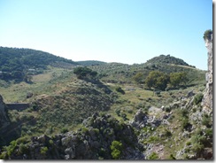 P1000883