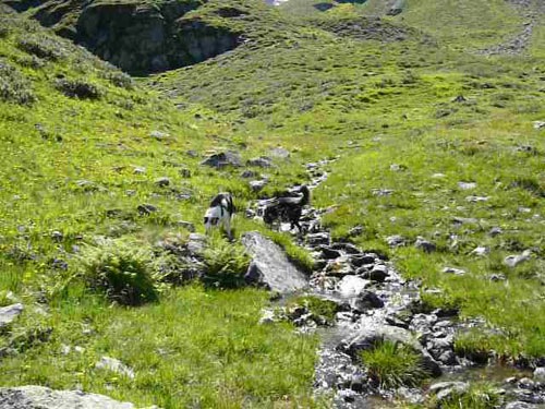 [P1010289[2].jpg]