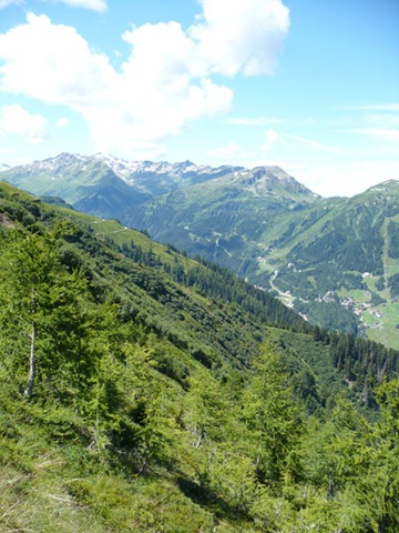 [P1010291[2].jpg]