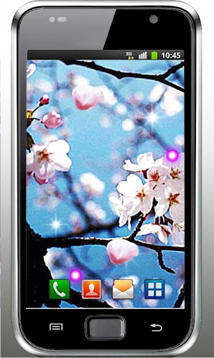 Sakura Nature Live Wallpaper