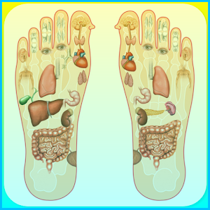 Panduan Urut Reflexology 1.0