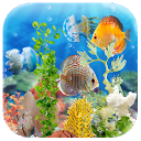 Ocean Fish mobile app icon
