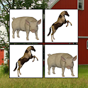 Memorize! Farm logo