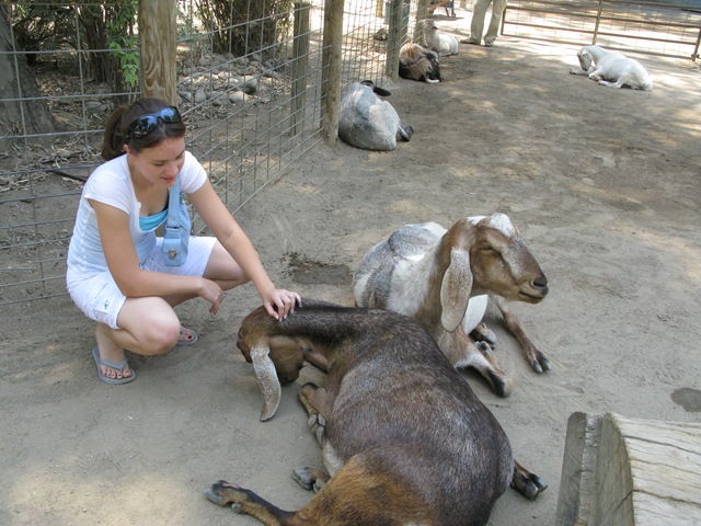 [IMG_09572.jpg]
