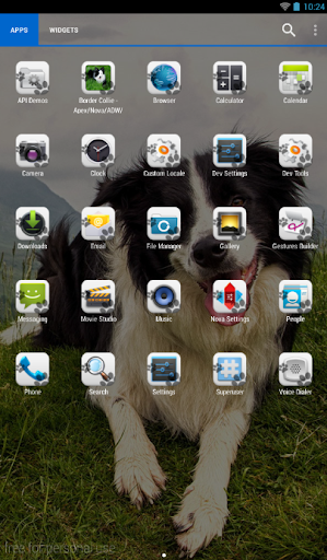 免費下載個人化APP|Border Collie Theme - Nova/ADW app開箱文|APP開箱王