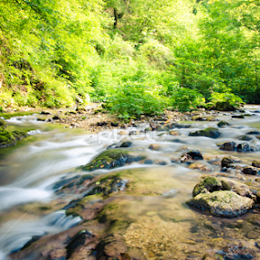 You're late by Gospon Fulir - Landscapes Waterscapes
