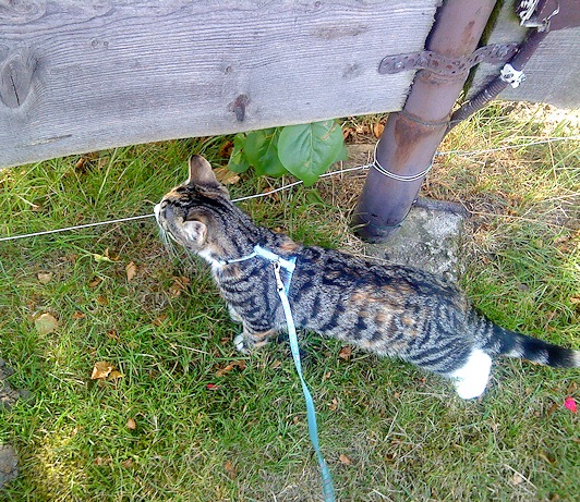 [nea_ute21aug[4].jpg]