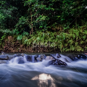 by Roedy Rustam - Nature Up Close Rock & Stone