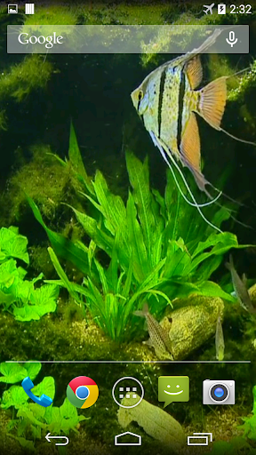 免費下載個人化APP|Fish Tank HD Live Wallpaper app開箱文|APP開箱王