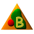 Basic Pro7.5.10 (Paid)