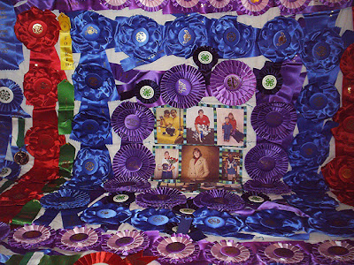 4H crazy quilt