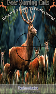 Deer Hunting Calls