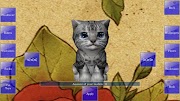 36 Info Terpopuler Cat 3d Game