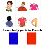 Learn Body Parts in French Apk