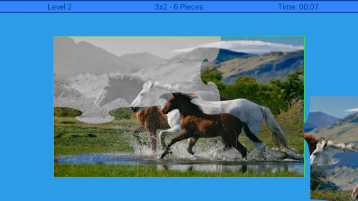 Horses Puzzle