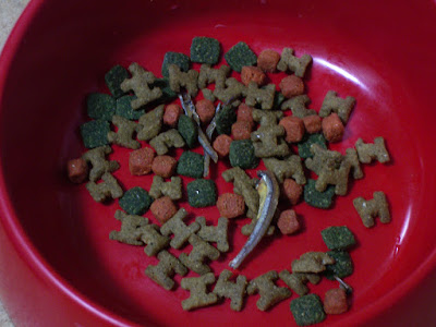 [Dog]豆豆的新寵－西莎乾狗糧 - 阿祥的網路筆記本