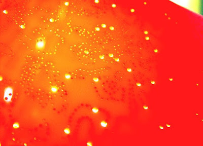 [幫推]輔仁大學應美所「貝有法金工創作個展」@華山創意園區！ - 阿祥的網路筆記本